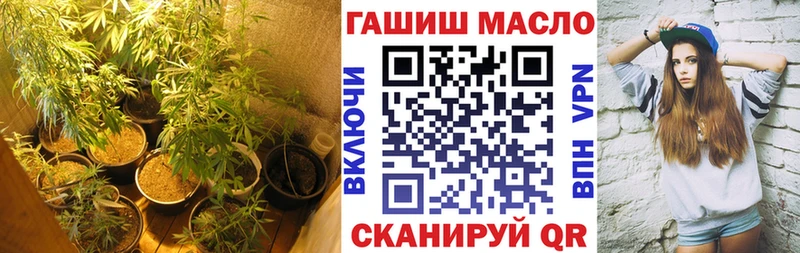 Купить где Анива ТГК концентрат