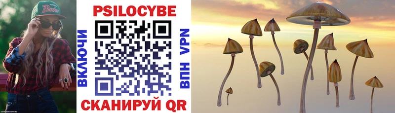 Псилоцибиновые грибы Psilocybe  Купить закладки  Анива 