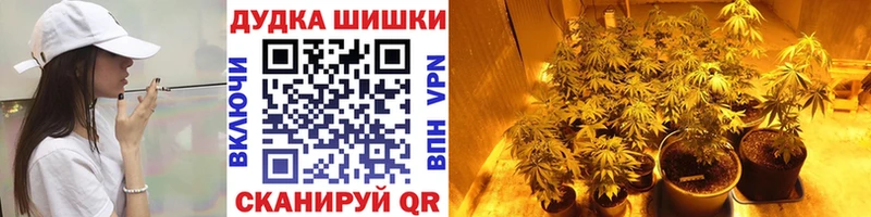 Купить где  Анива  Бошки Шишки сатива 